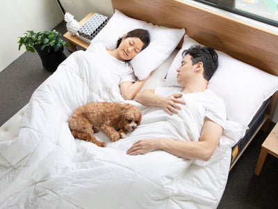 睡眠和排毒