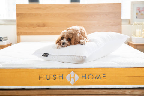Hush Home 香港枕頭推薦