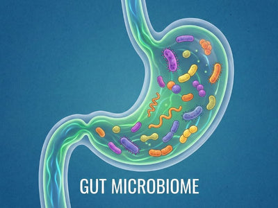 The Relationship Between Gut Health and Sleep Quality